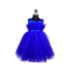 Midnight Bloom Royal Blue Tulle Party Frock