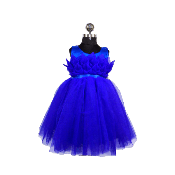 Midnight Bloom Royal Blue Tulle Party Frock